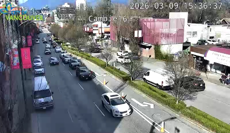 Cambie St and W 16th Ave - North
