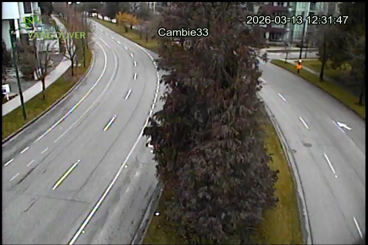 Cambie St & W 33rd Ave - S
