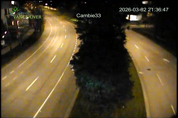 Cambie St & W 33rd Ave - S