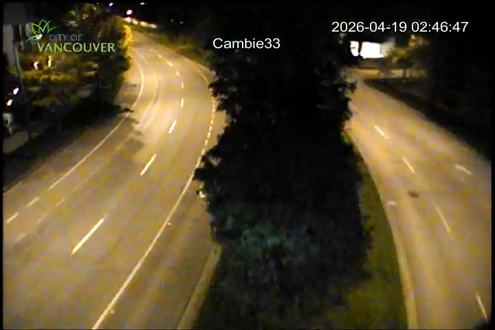 Cambie St & W 33rd Ave - S