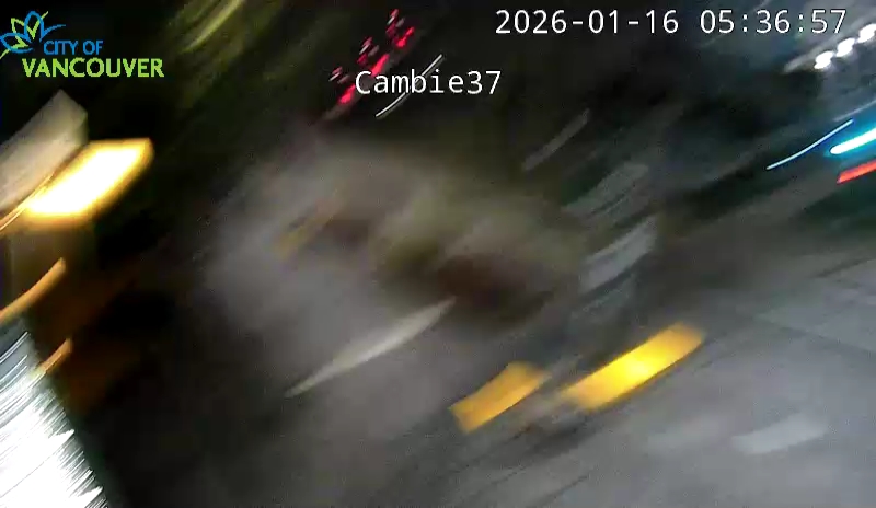 Cambie St & W 37th Ave - W