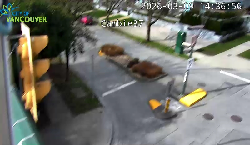 Cambie St & W 37th Ave - W