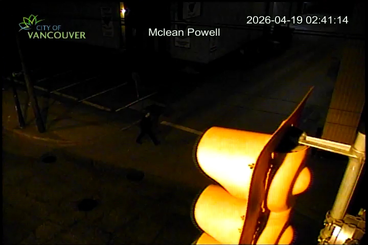 McLean Dr & Powell St - North