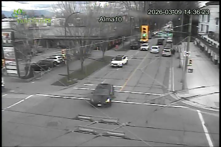 Alma St & W 10th Ave - E